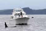 A self guided boating vacation along the Inside Passage is a leisurely way to enjoy the scenery and wildlife British Columbia in Canada has to offer.
