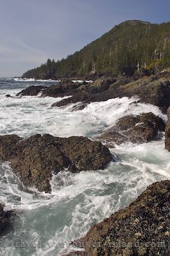 Photo: Cape Palmerston Vancouver Island
