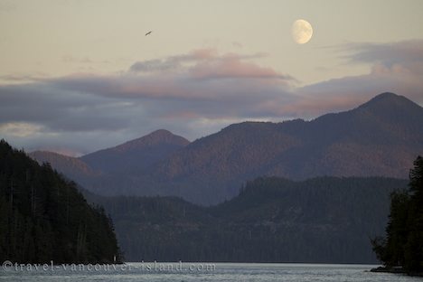 Photo: Moonrise Nootka Sound