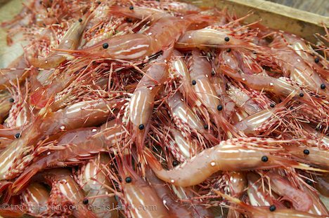 Photo: Prawns